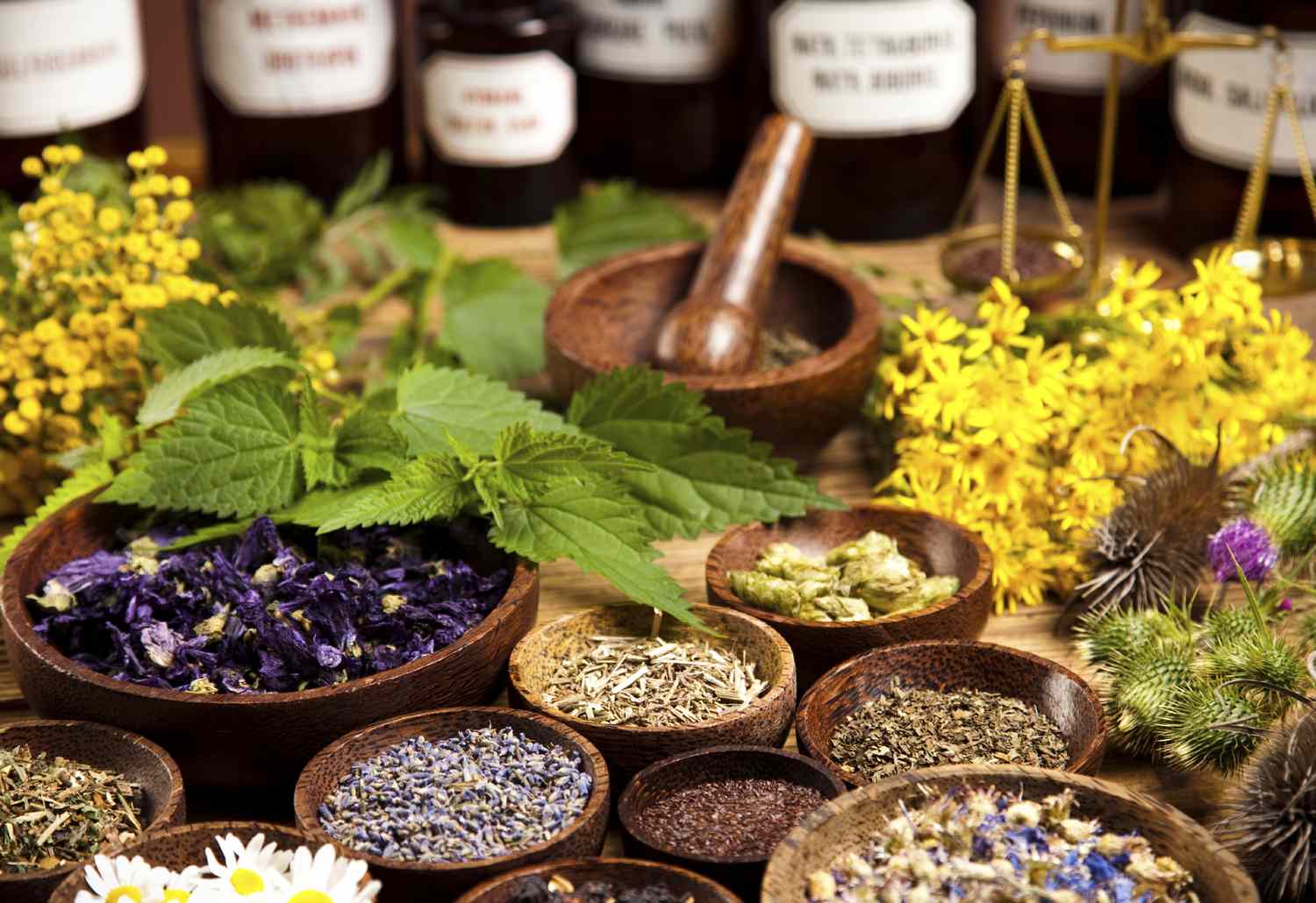 homeopathy image