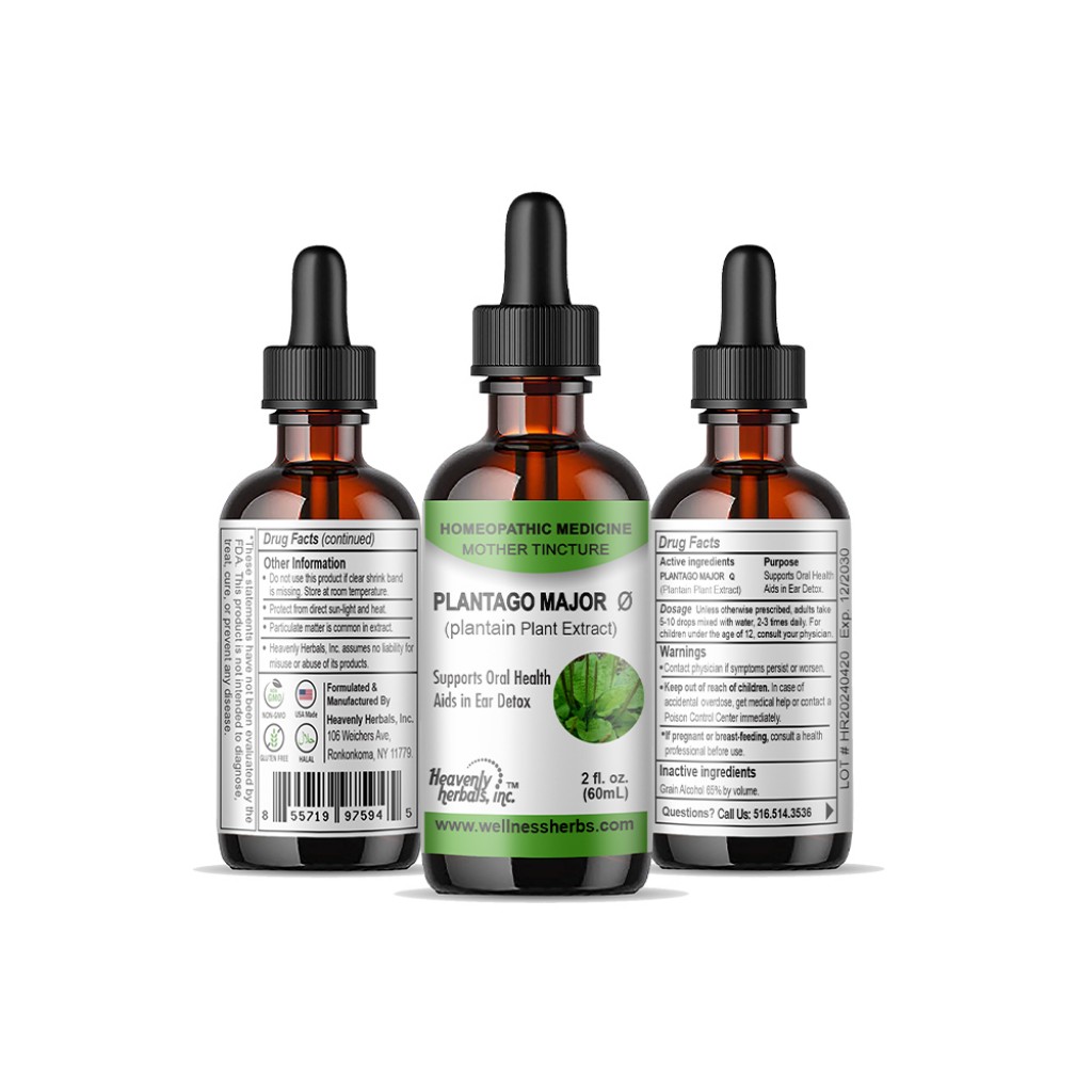 Plantago Major Q - Mother Tincture