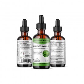 Plantago Major Q - Mother Tincture