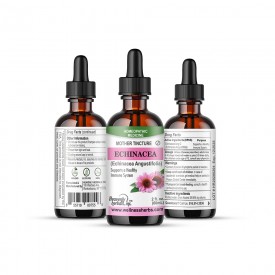 Echinacea Q -  Mother Tincture