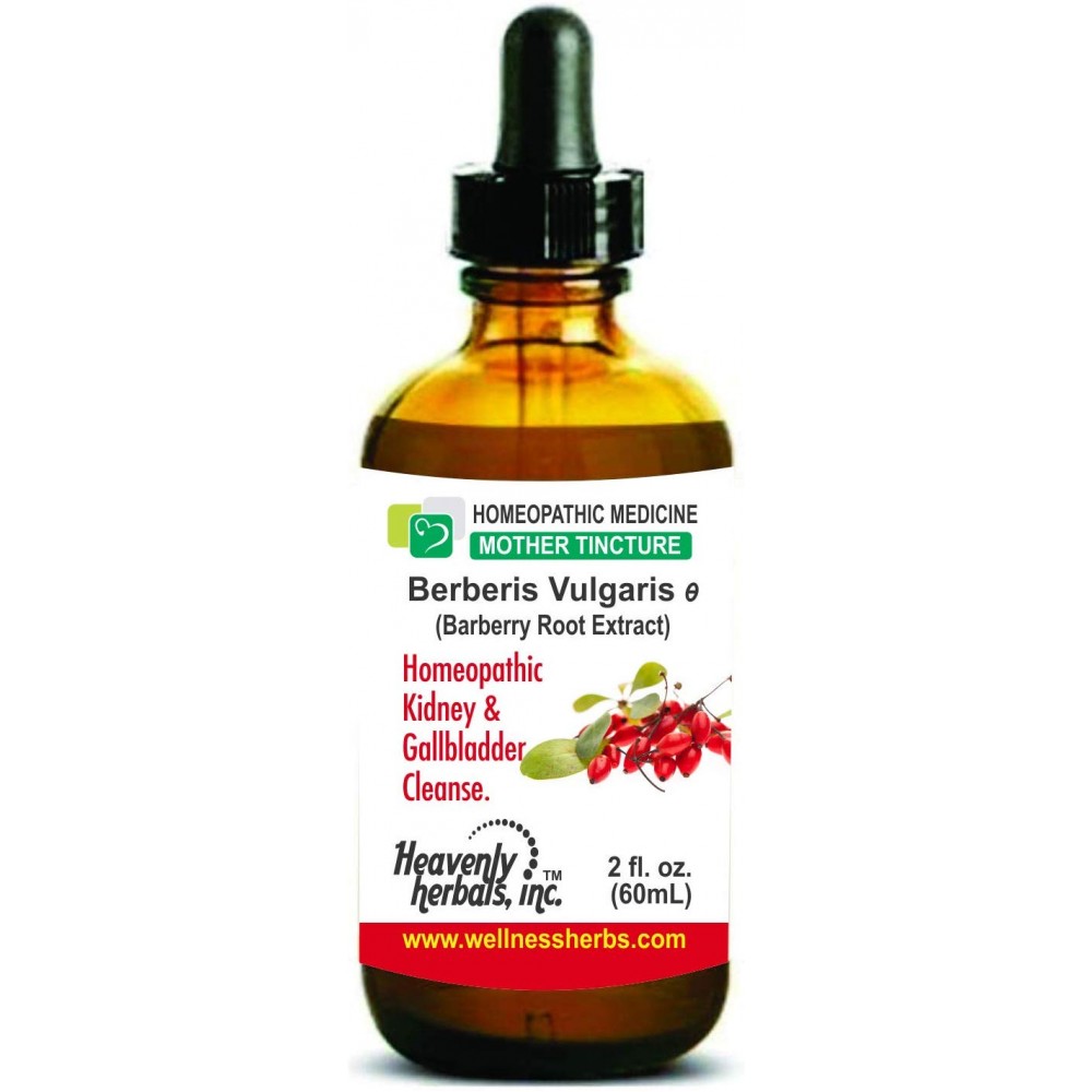 Sbl Berberis Vulgaris Mother Tincture 30ml Online Dr Wellnesz