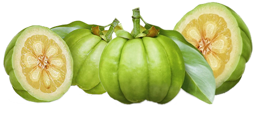 How Garcinia Cambogia and Saffron Can Help You Lose Weight and Belly Fat